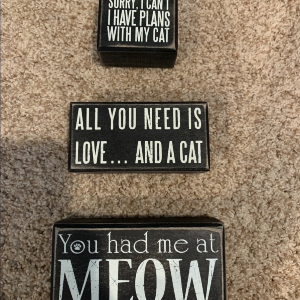 Cat Signs